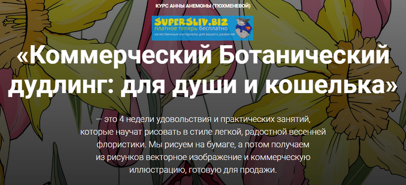 [Анна Анемона] Коммерческий Ботанический дудлинг_ _0.png